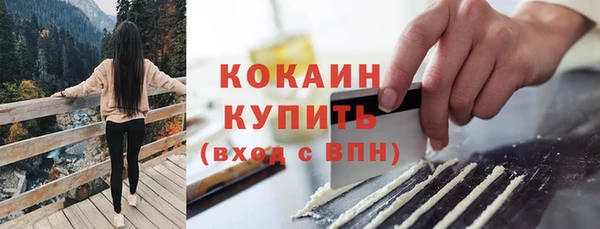 не бодяженный Гусев