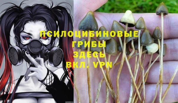 не бодяженный Гусев