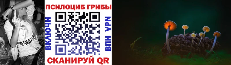 Псилоцибиновые грибы прущие грибы  Купить закладки  Орск 